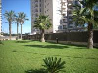 Beach/ New - Apartament - Guardamar - Puerto /PLAYA